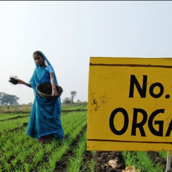 Bio-Baumwolle: die bessere Alternative 1 FS Bio Baumwolle SUeDWIND Bio-Baumwolle: die bessere Alternative Kampagne für Saubere Kleidung | Clean Clothes Campaign Germany