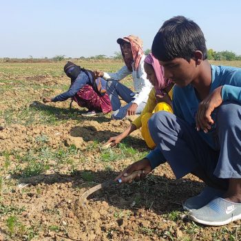 Zertifiziert - und dann ist alles gut? Ein Update 1 SUeDWIND Kinderarbeit Baumwolle Foto CLRA Zertifiziert - und dann ist alles gut? Ein Update Kampagne für Saubere Kleidung | Clean Clothes Campaign Germany