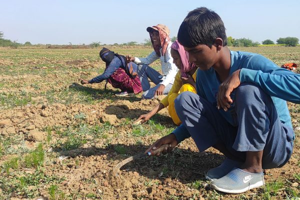 Zertifiziert - und dann ist alles gut? Ein Update 9 SUeDWIND Kinderarbeit Baumwolle Foto CLRA Zertifiziert - und dann ist alles gut? Ein Update Kampagne für Saubere Kleidung | Clean Clothes Campaign Germany