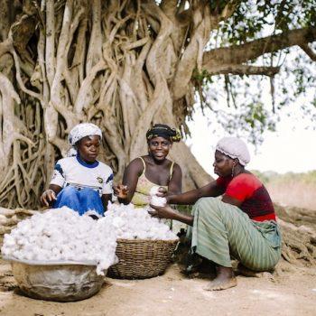In weiter Ferne: Existenzsichernde Einkommen im Baumwollanbau 1 Baumwolle In weiter Ferne Factsheet SUeDWIND In weiter Ferne: Existenzsichernde Einkommen im Baumwollanbau Kampagne für Saubere Kleidung | Clean Clothes Campaign Germany