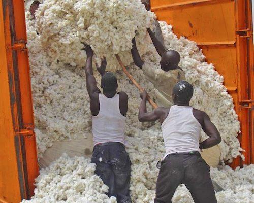 Baumwollstandards – Mehr Wirkung nötig! 1 Vier Männer beladen einen LKW mit Baumwolle.