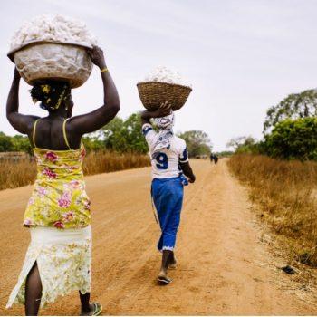 Olivier Girard CIFOR flickr.com Afrika Kampagne für Saubere Kleidung | Clean Clothes Campaign Germany